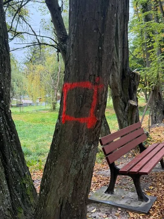 Sanktuarium Matki Bożej Gietrzwałdzkiej