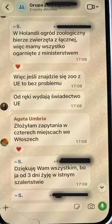 Screen z rozmowy na jednej z grup