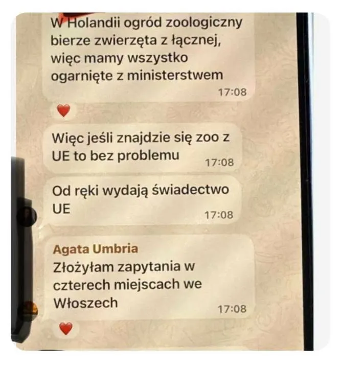 Screen z rozmowy na jednej z grup