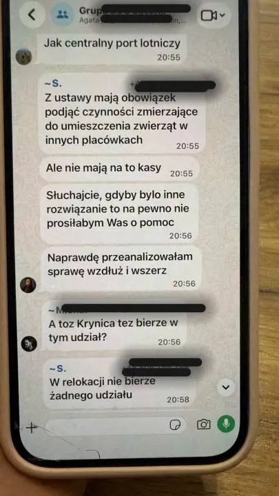 Screen z rozmowy na jednej z grup