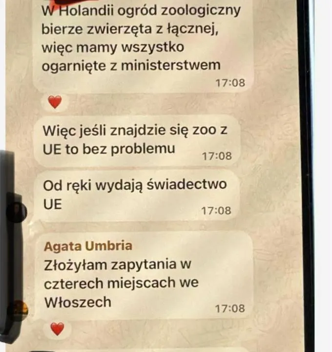 Screen z rozmowy na jednej z grup