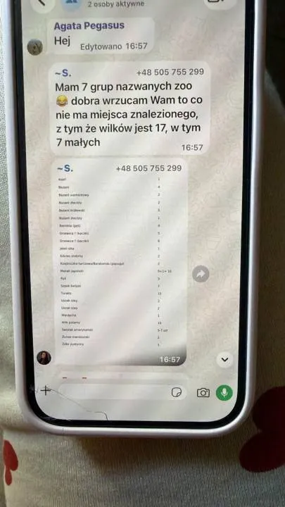 Screen z rozmowy na jednej z grup