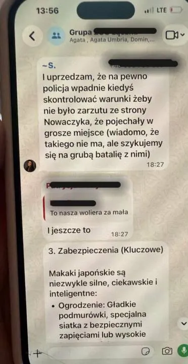 Screen z rozmowy na jednej z grup