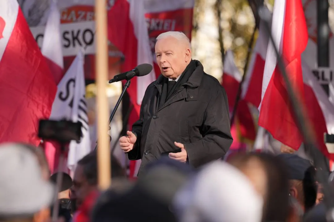Zdjęcie 40