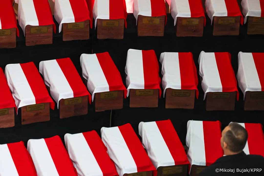 fot. Mikołaj Bujak