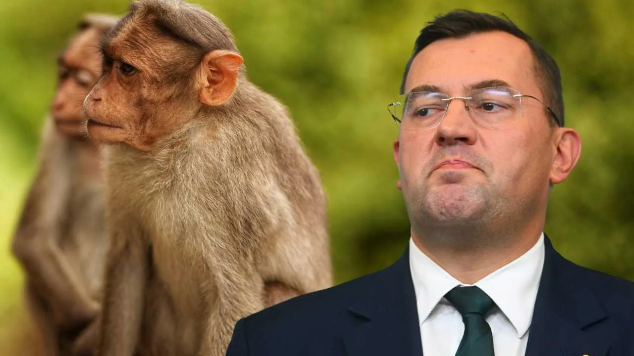 Afrykańscy delegaci wyzywani od "małp" i "czarnuchów". Minister Krajewski balował w najlepsze