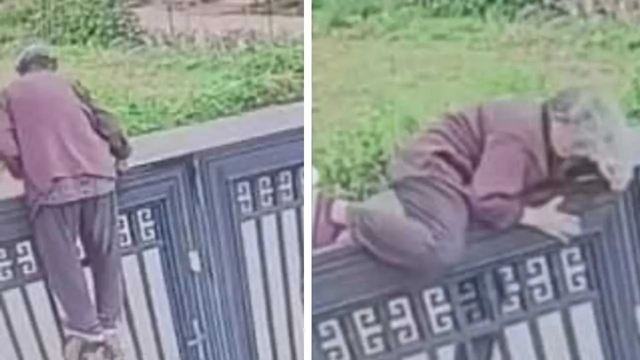 Babcia‑Ninja z Chin zadziwiła świat. 92‑latka przeskoczyła ogrodzenie i... uciekła