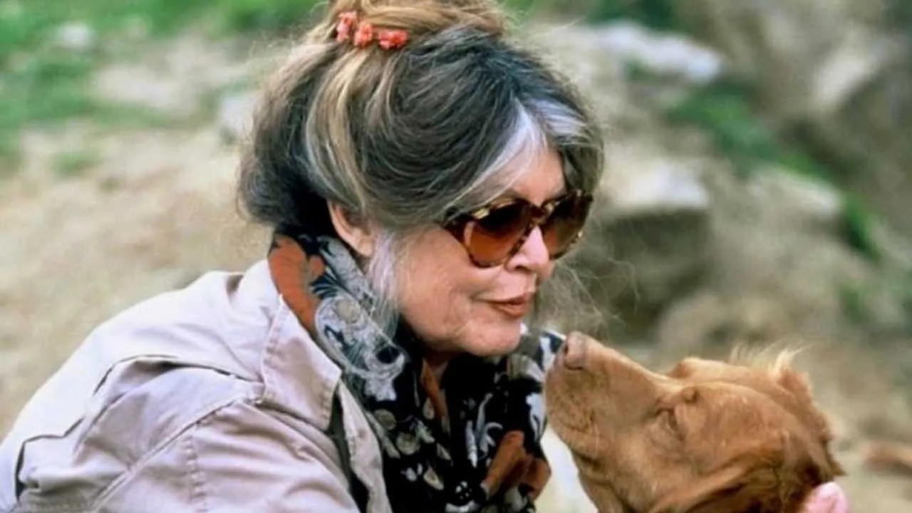 Brigitte Bardot zamyka usta niedowiarkom. Co to za idiota?