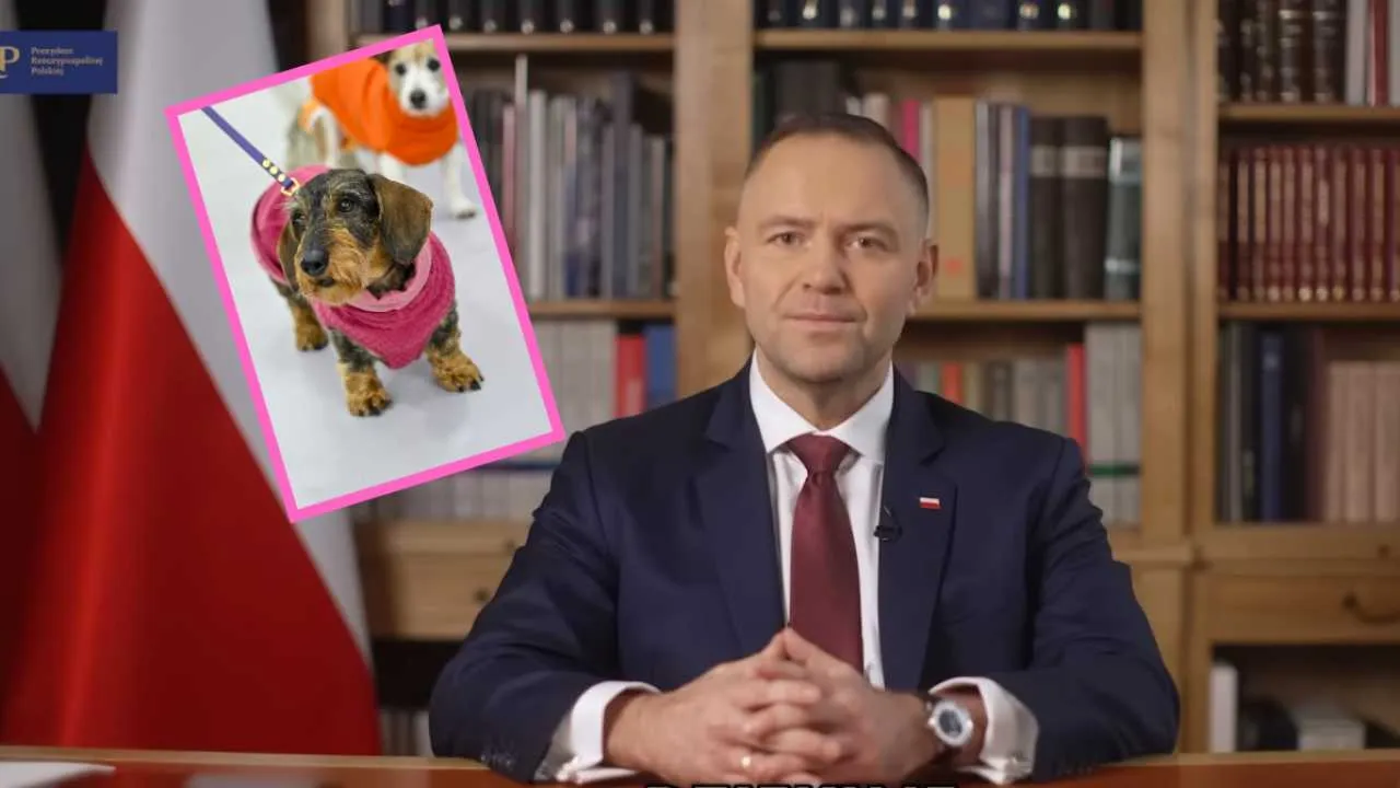 Nie będzie kojców wielkości kawalerki. Prezydent Nawrocki proponuje swój projekt ustawy łańcuchowej