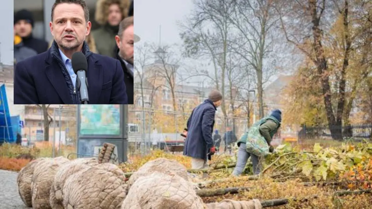 „Wałek na drzewkach”. Warszawa wydaje miliony. „To jest patologia”