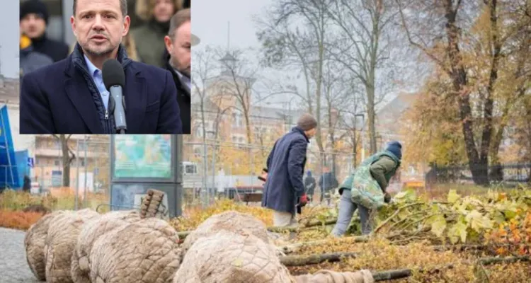 „Wałek na drzewkach”. Warszawa wydaje miliony. „To jest patologia”