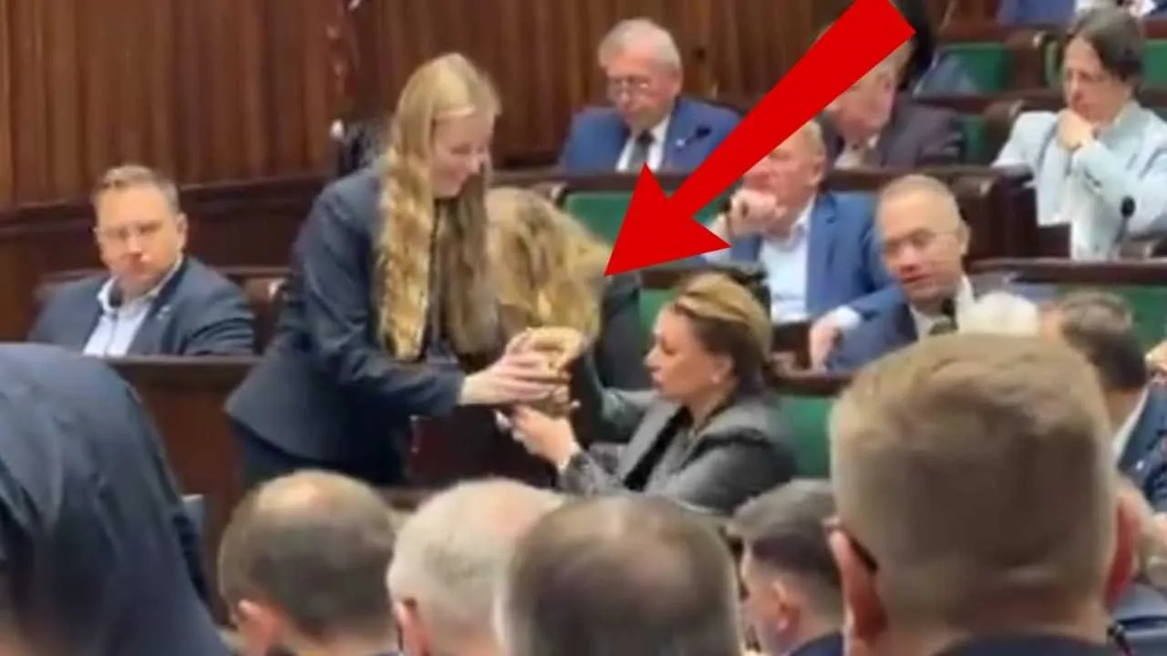 Żenujące obrazki na sali sejmowej. "Królewna Wielichowska potrzebuje służby"