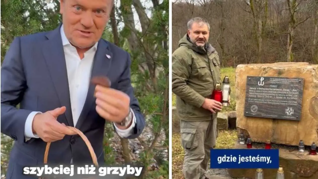 Żurek 11 listopada wystroił się jak do rąbania drewna, a Tusk w garniturze zbiera grzyby. Kto im tak doradza?