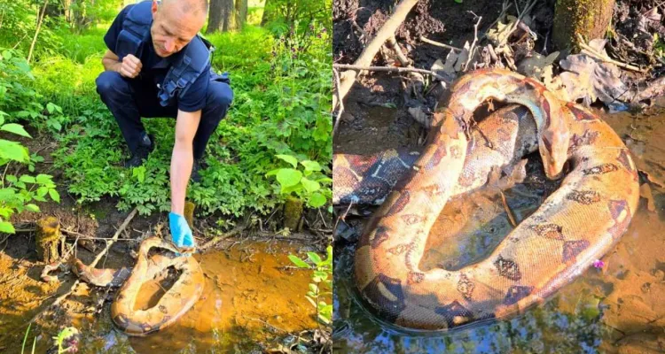 Szokujące znalezisko w tyskim parku. Musiały interweniować służby