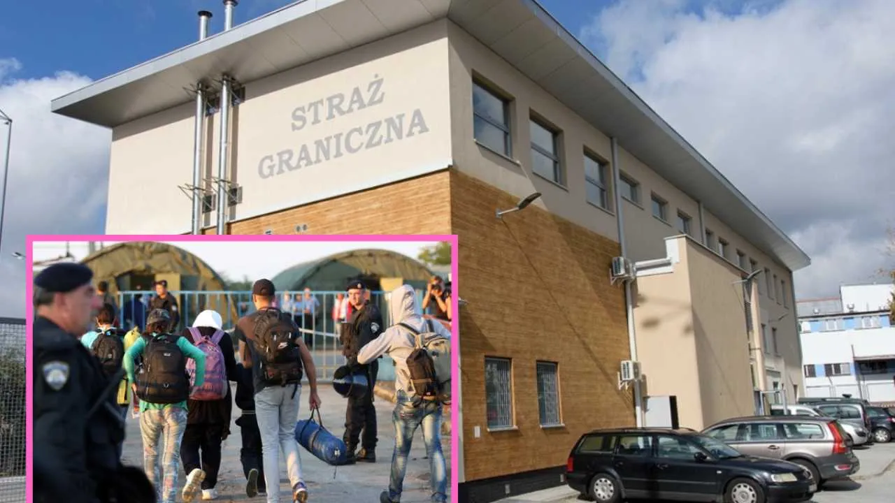 Martwa tłumaczka, która „pracuje”. Jak w Polsce fałszuje się dokumenty na legalizację pobytu