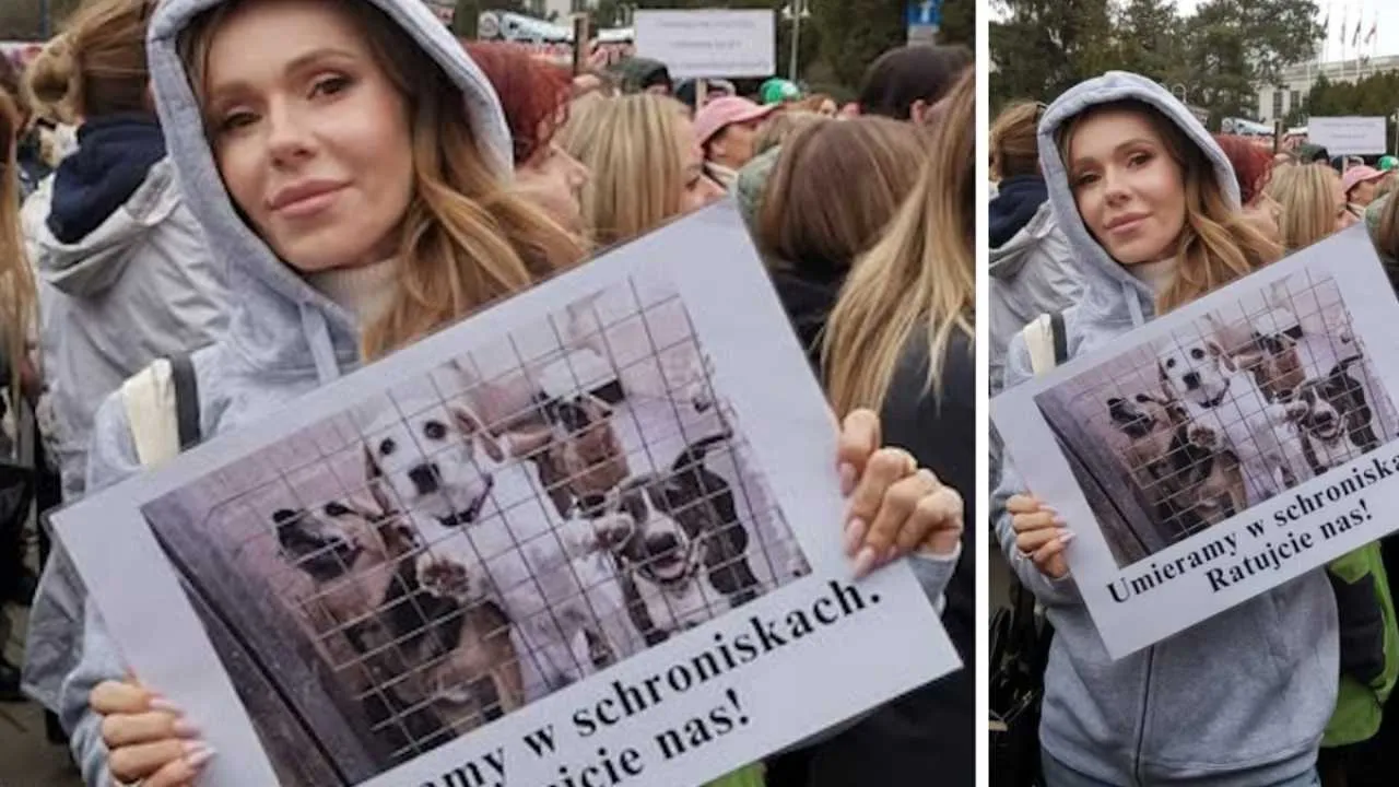 Ten protest coś zmieni? Doda się nie poddaje: Musimy uczyć ludzi odpowiedzialności!