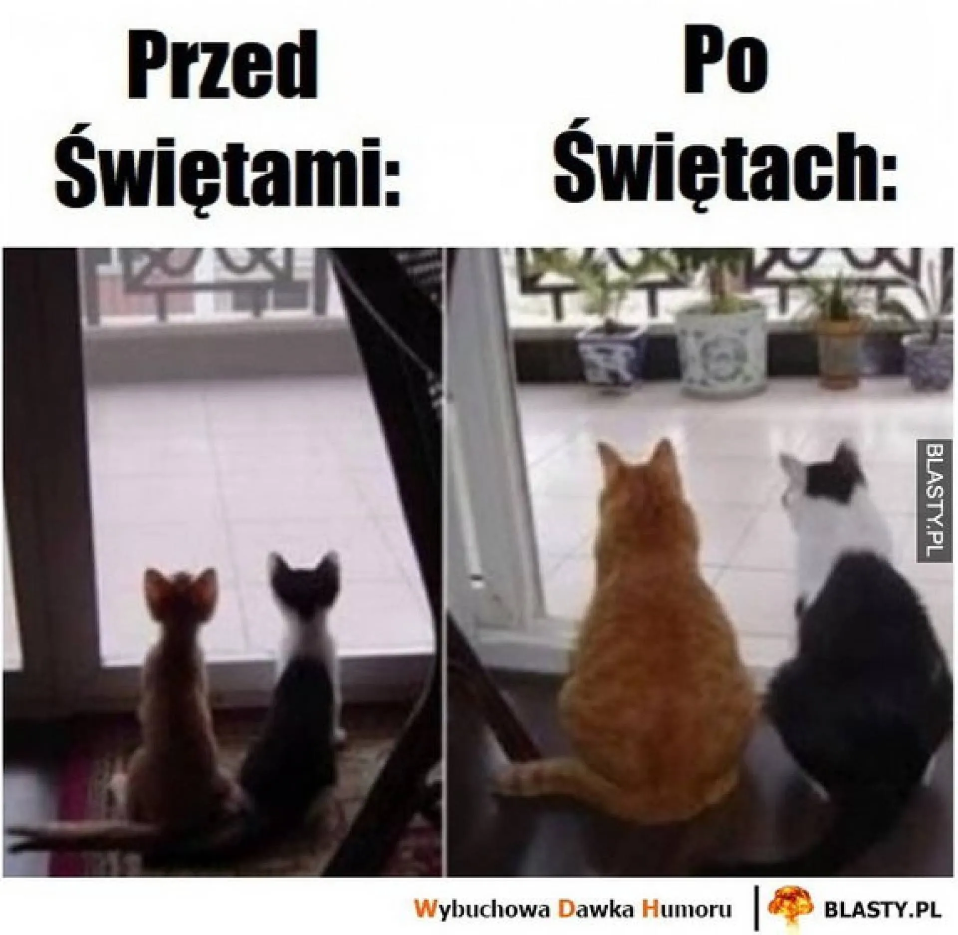 Przed/Po
