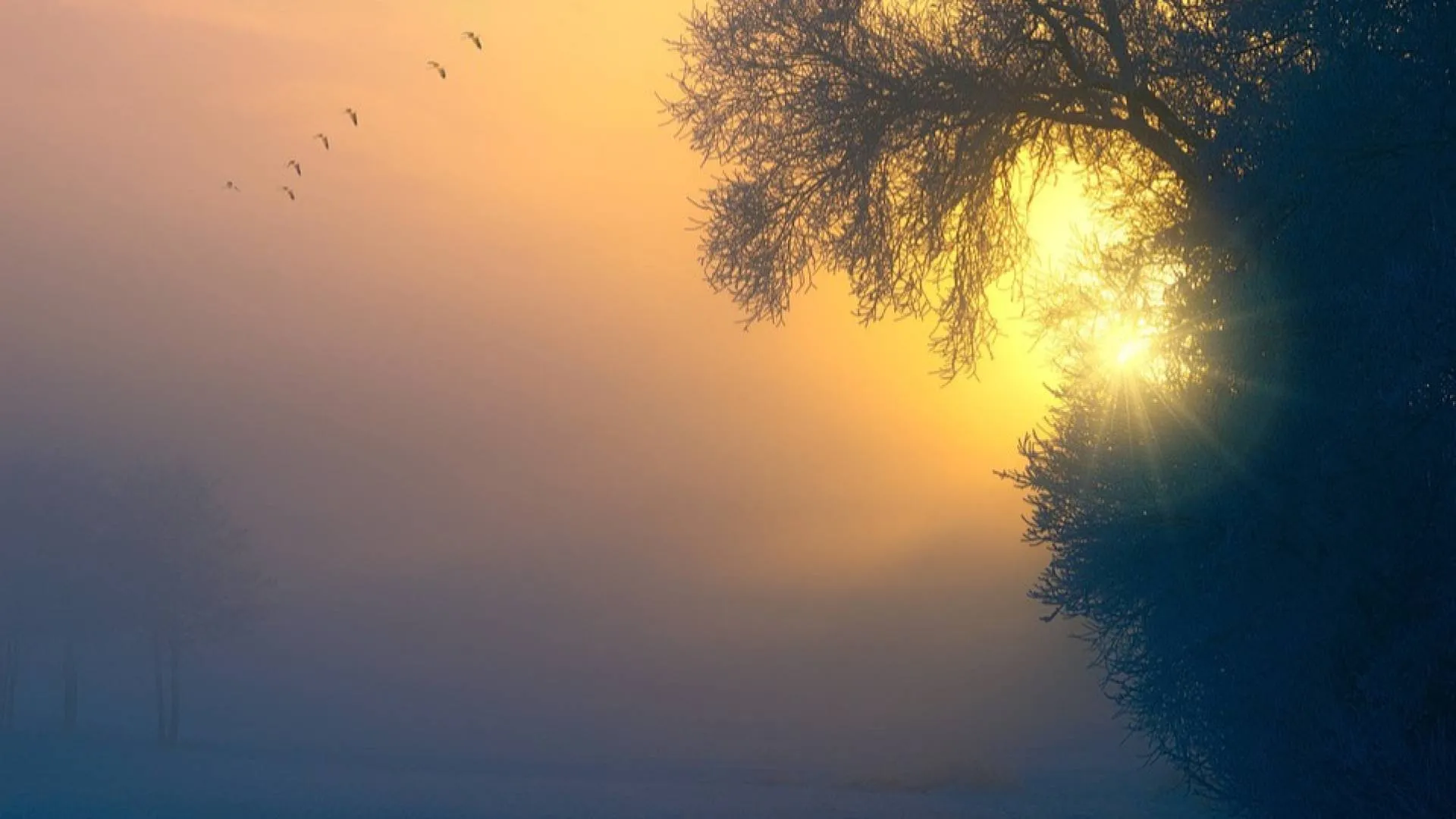 Jaka pogoda czeka nas w tym tygodniu? Będzie cieplej