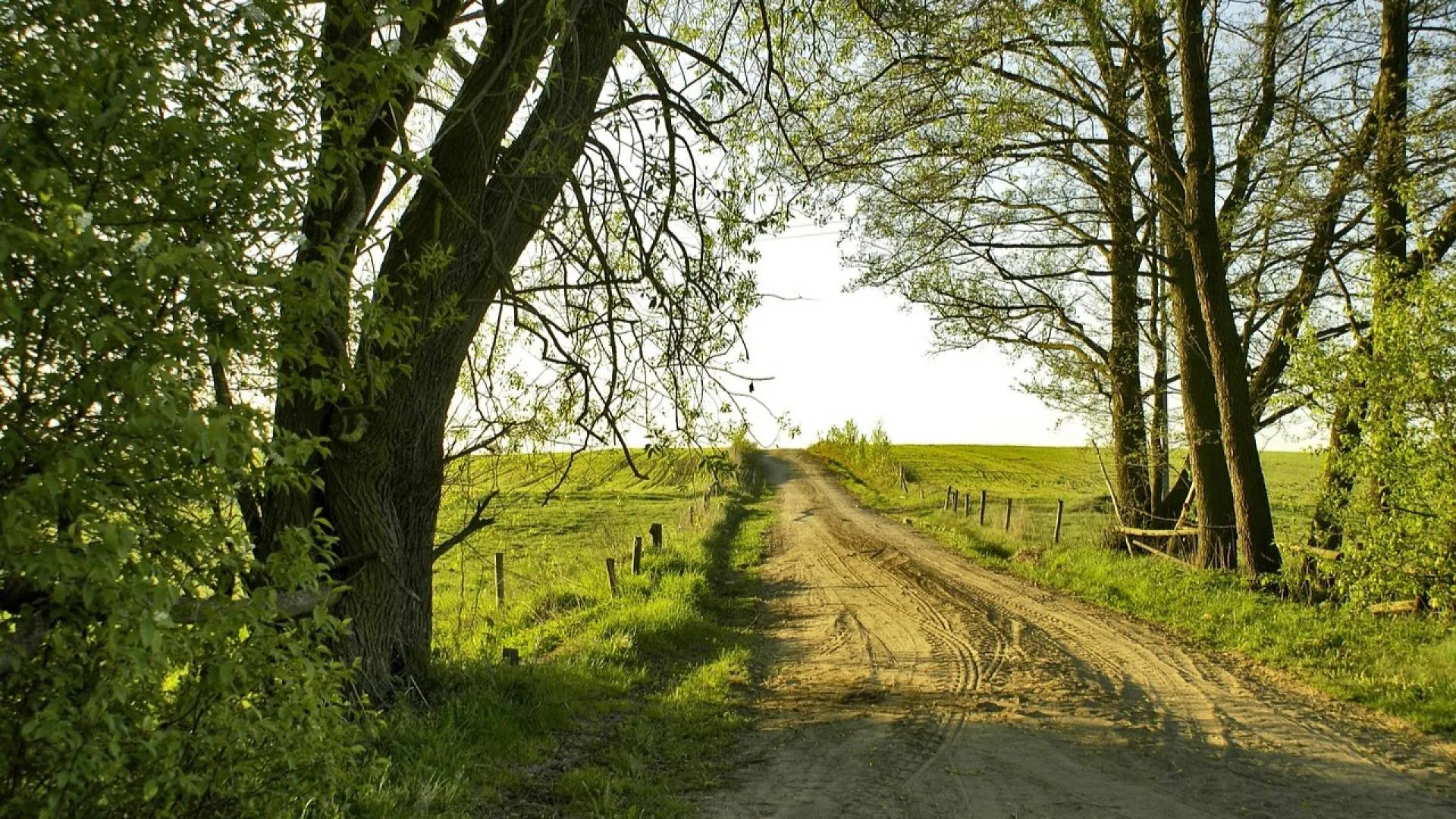 Belgijska gazeta: Polska kryje nieznane bogactwa
