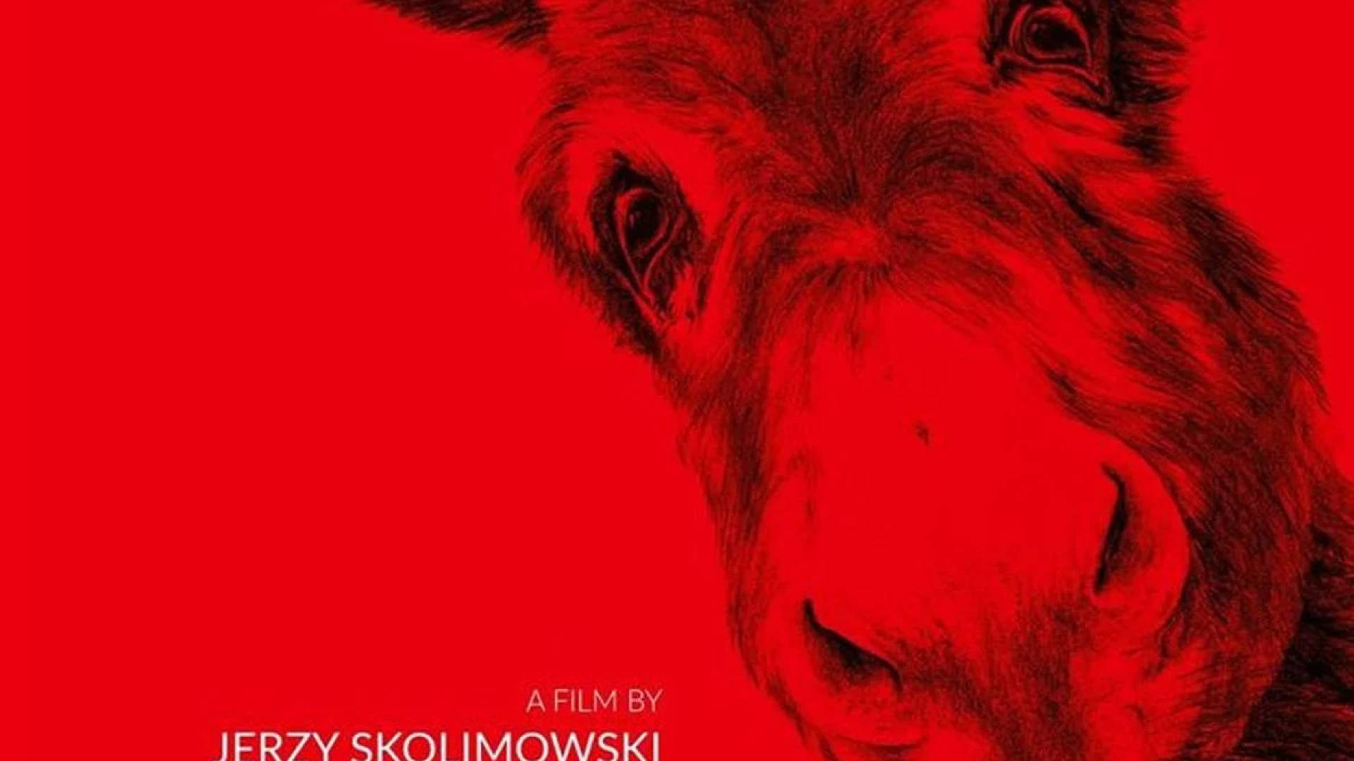 Nominacja dla "IO". Hrapkowicz: to dowód na to, jaką ogromną drogę przebyło polskie kino