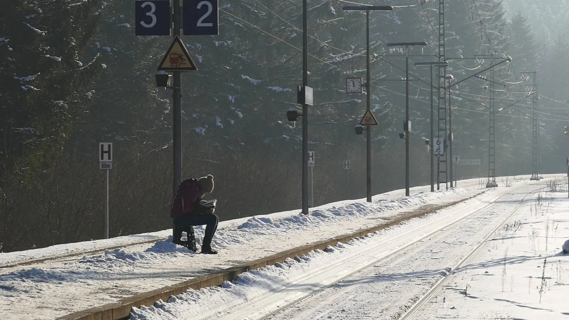 Dolny Śląsk: Powalone drzewa utrudniają ruch pociągów