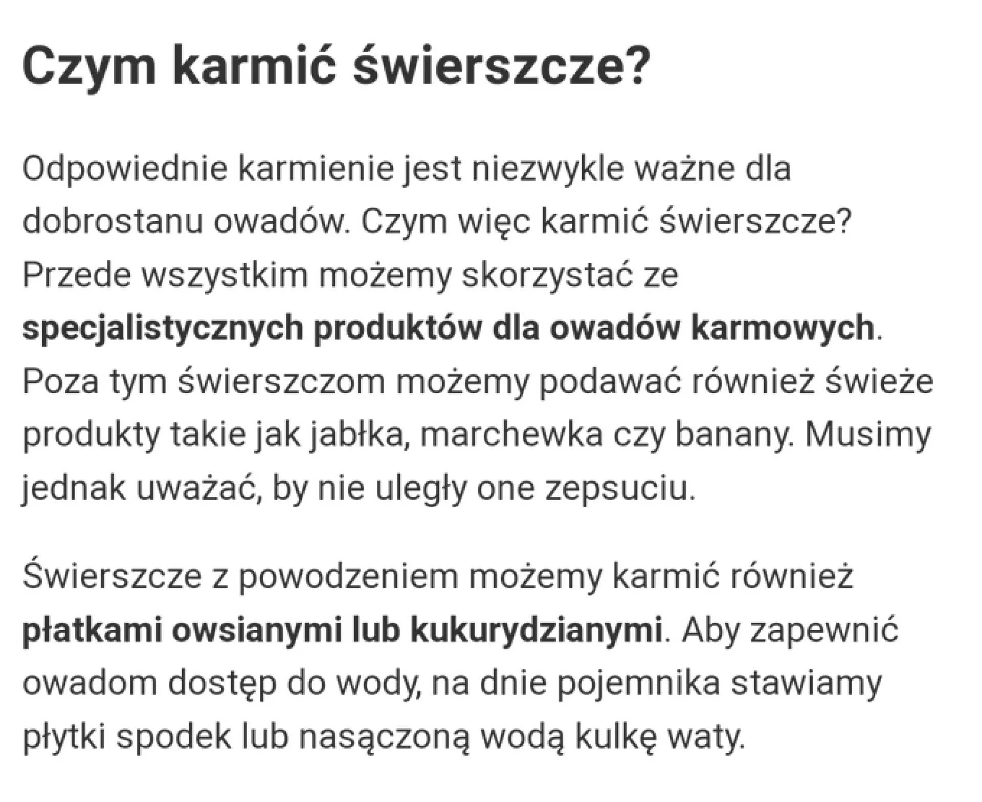 Świerszcz