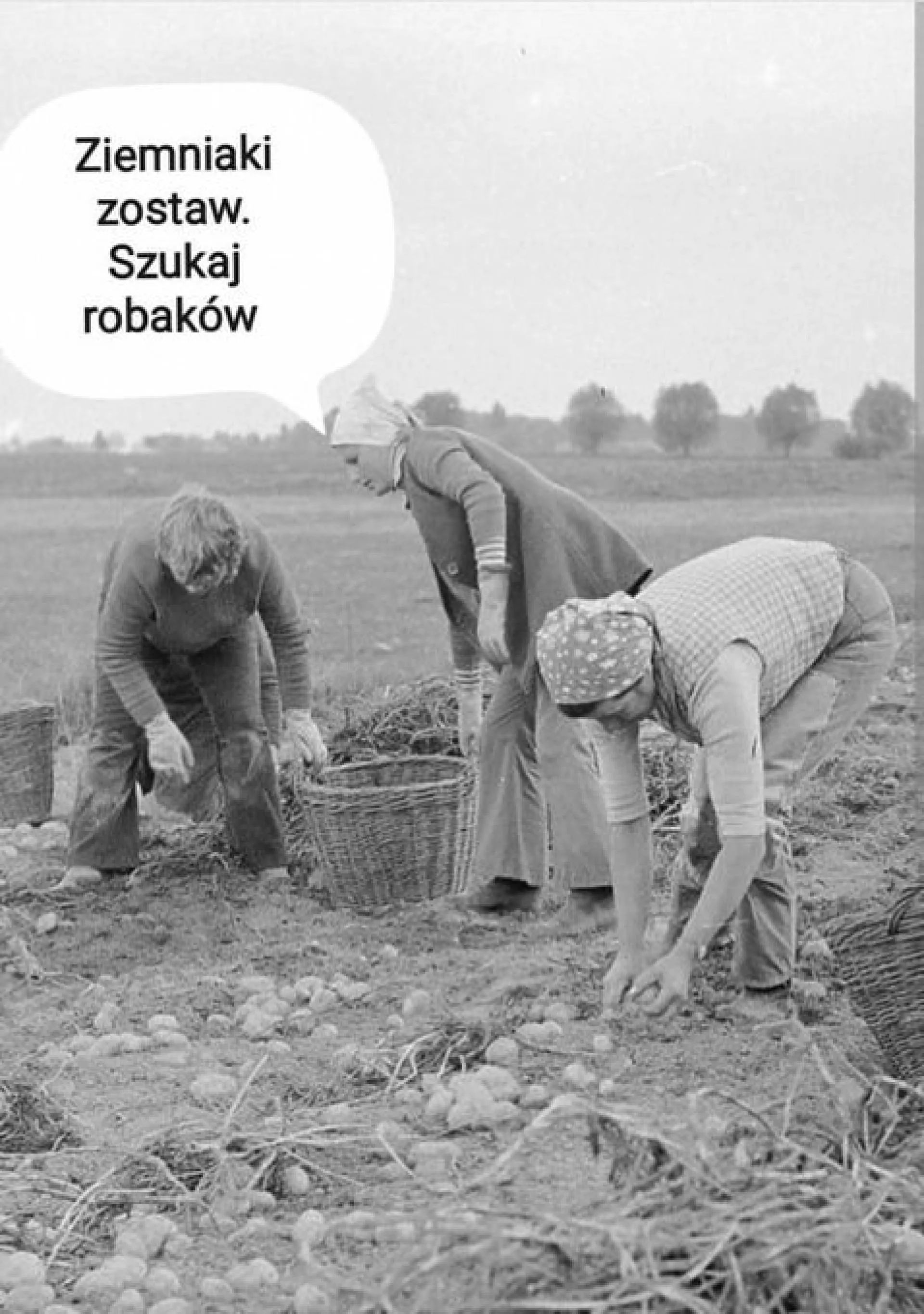 Ziemniaki zostaw