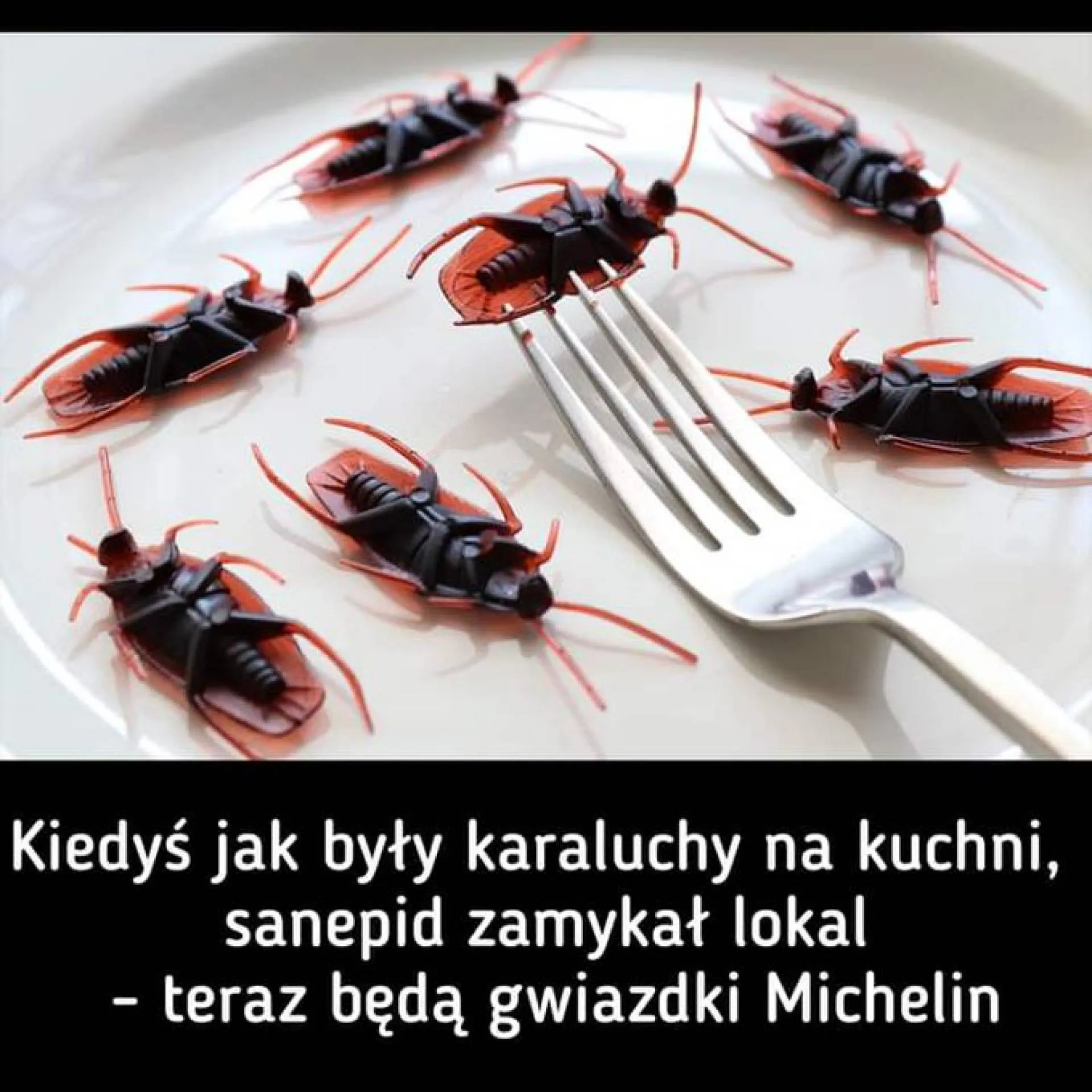 Gwiazdki Michelin