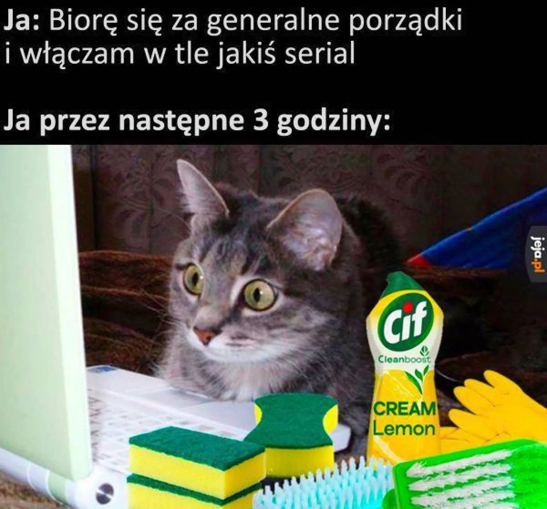 Sprzątanie