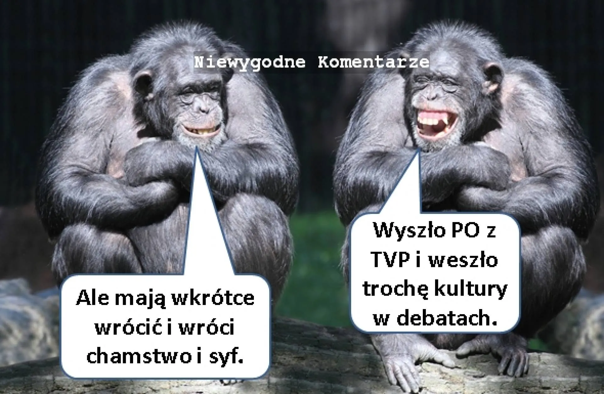 Wkrótce wróci