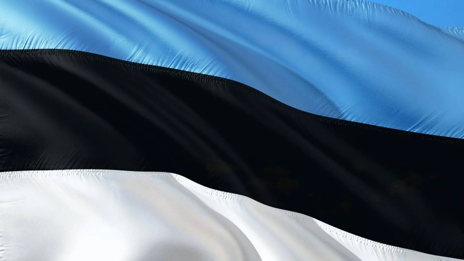 W Estonii mówi się... 243 językami!