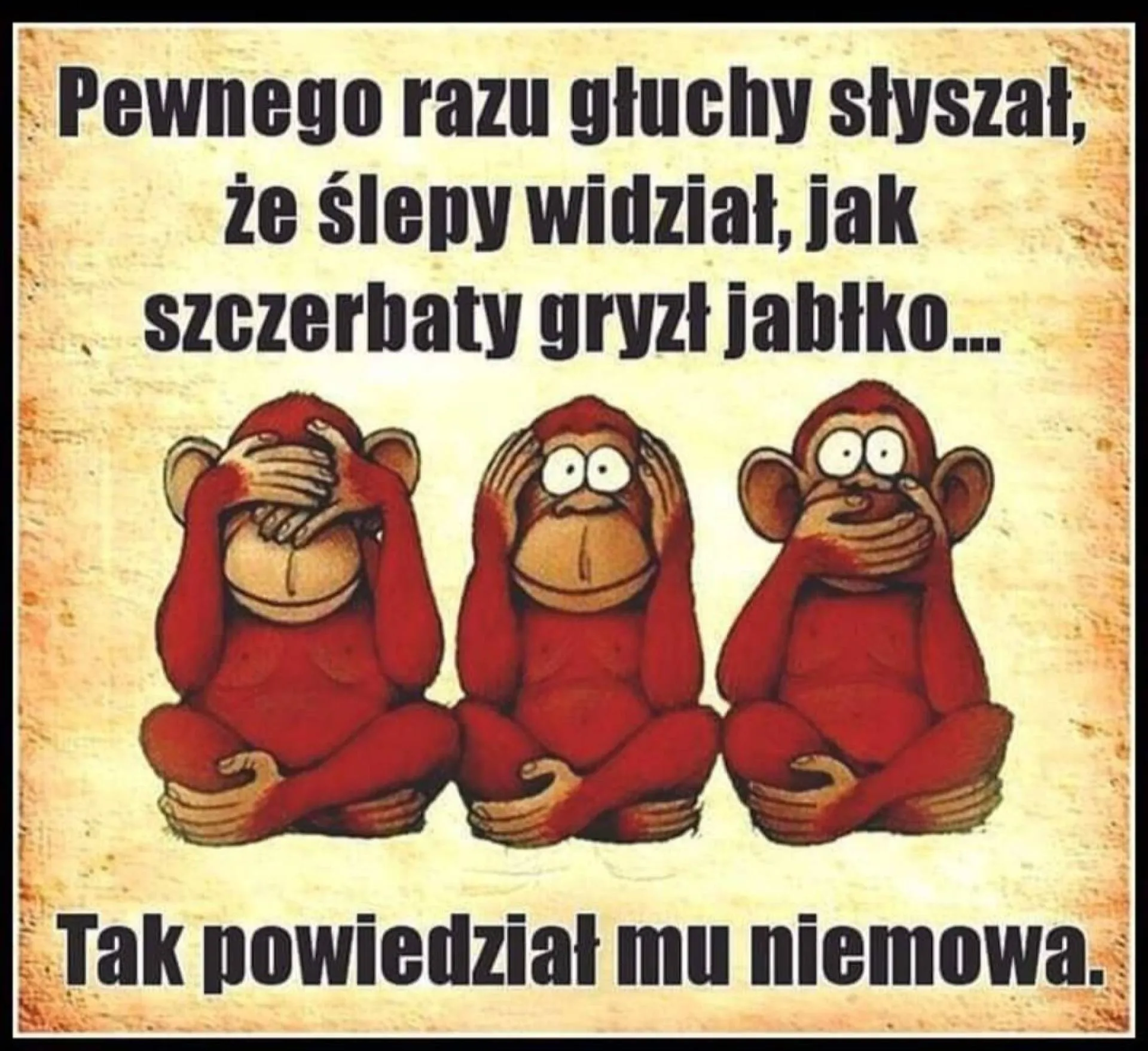 Informatorzy TVN
