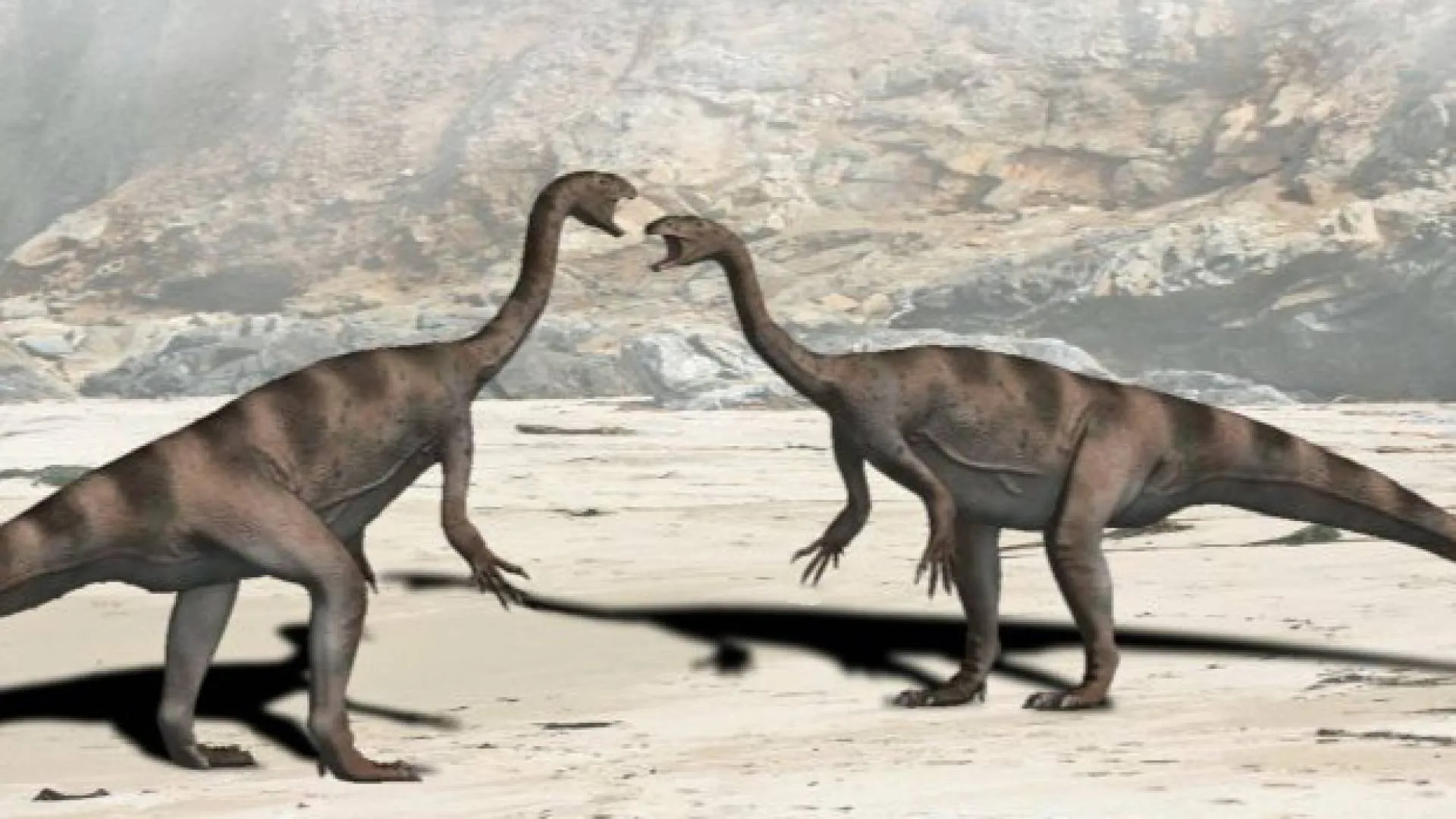 Jak często brał oddech jeden z największych roślinożernych dinozaurów? Są wyniki badań