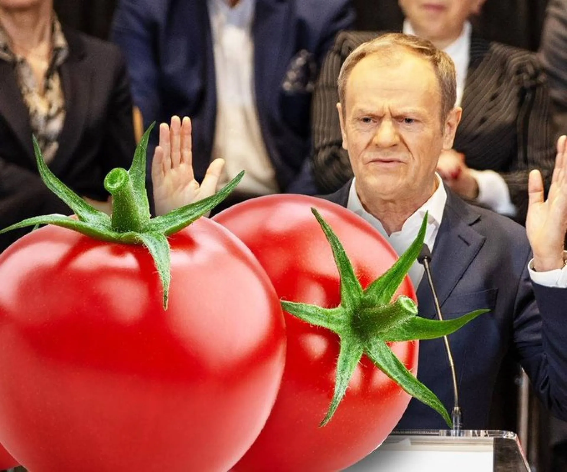 Donaldo Don Pomidorre
