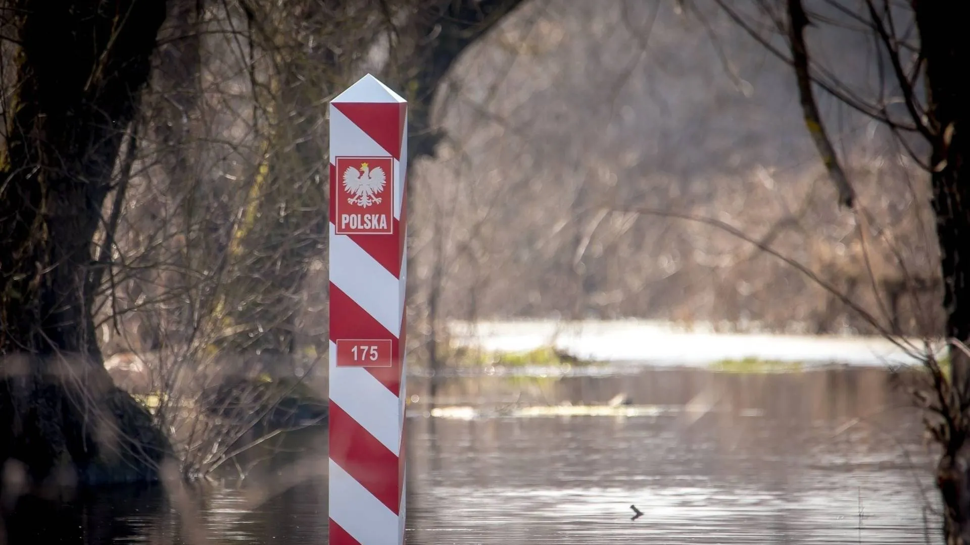 Straż Graniczna zatrzymała agresywnych migrantów