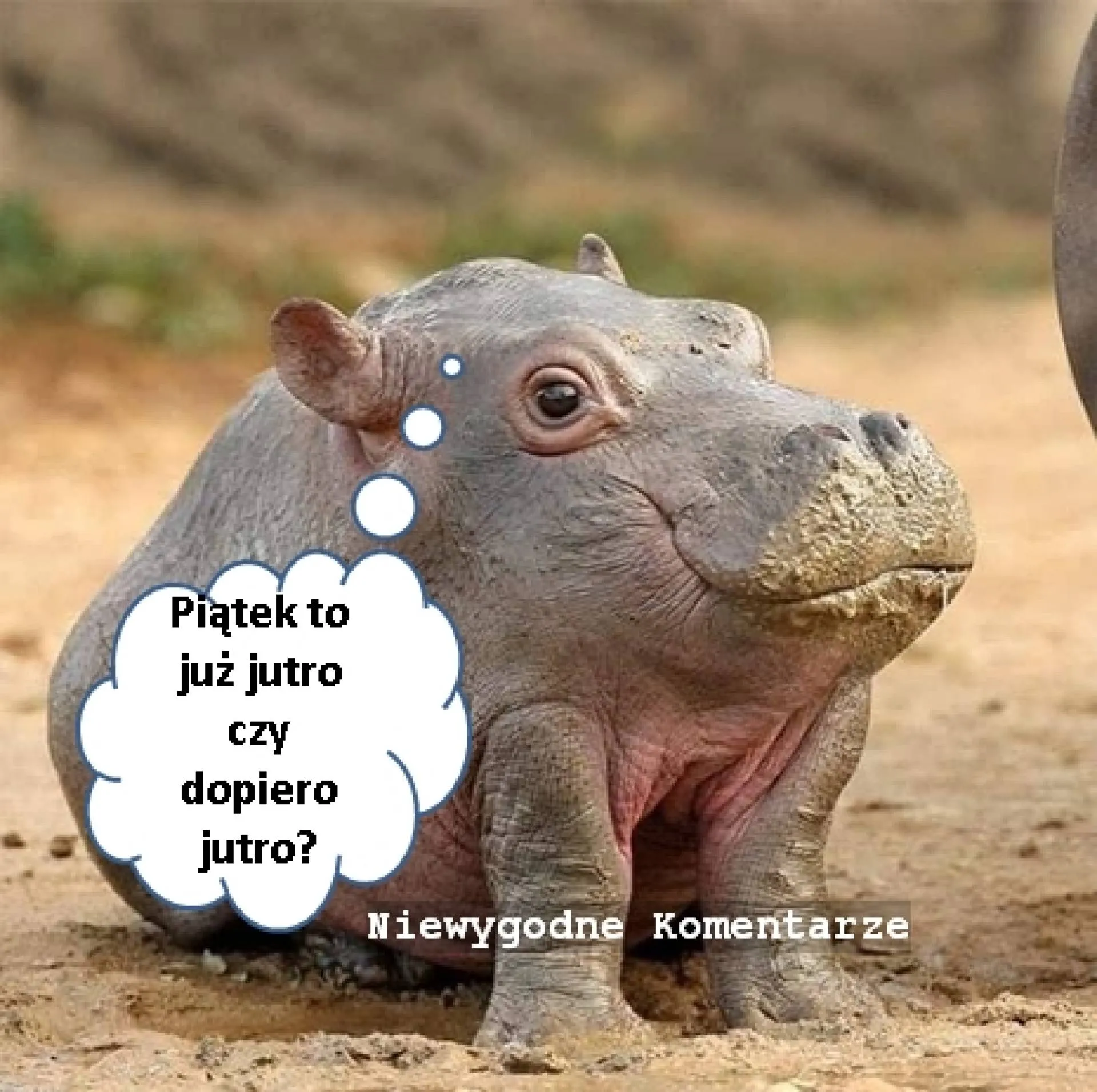 Piątek