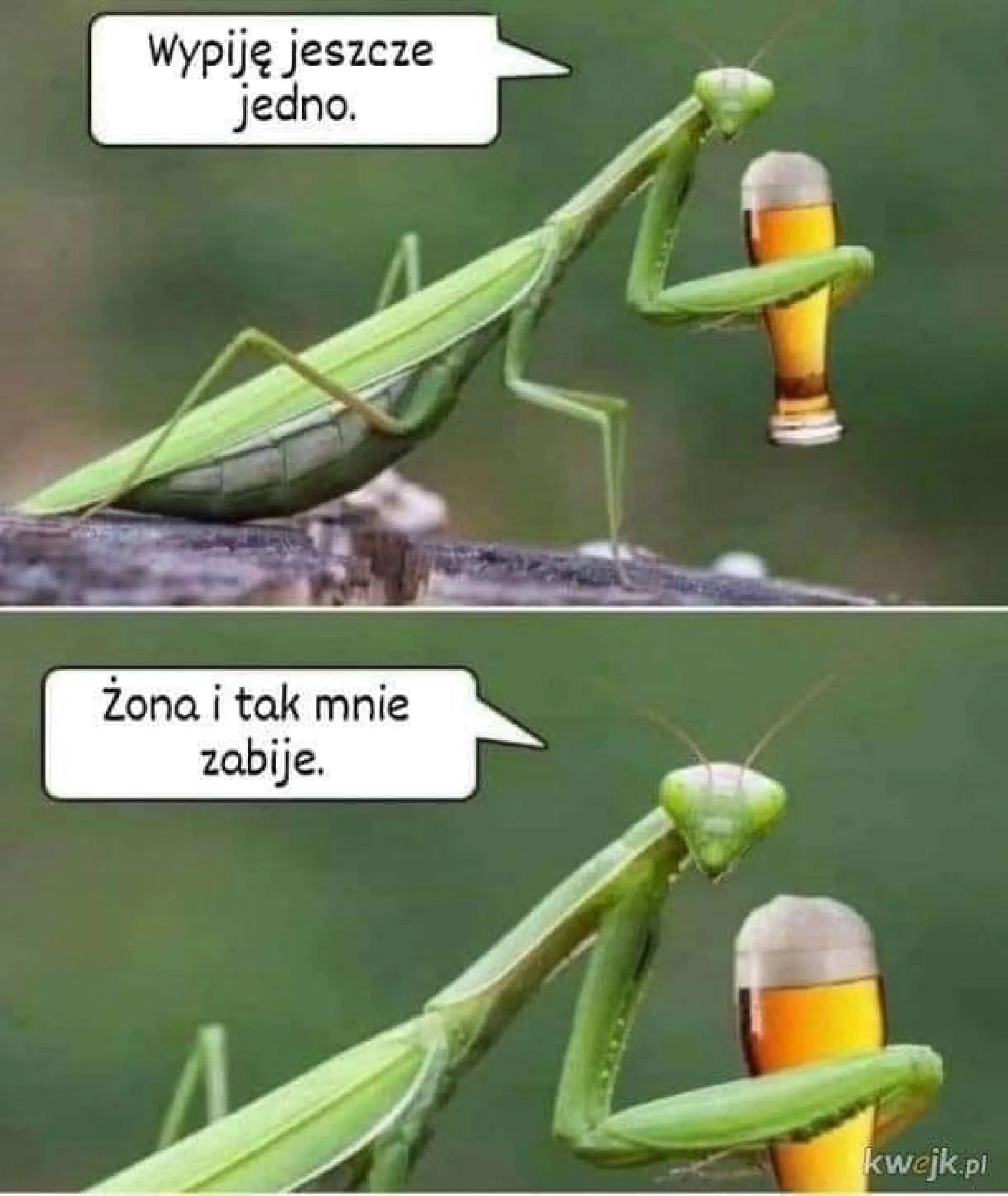 Jeszcze jedno
