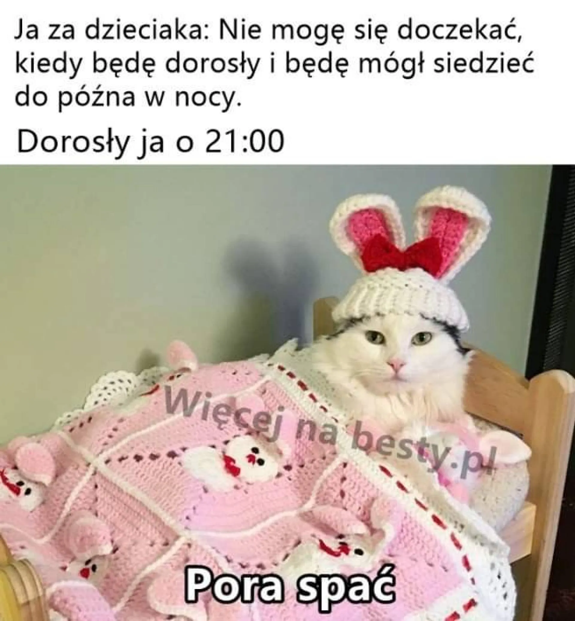 Dorosły ja