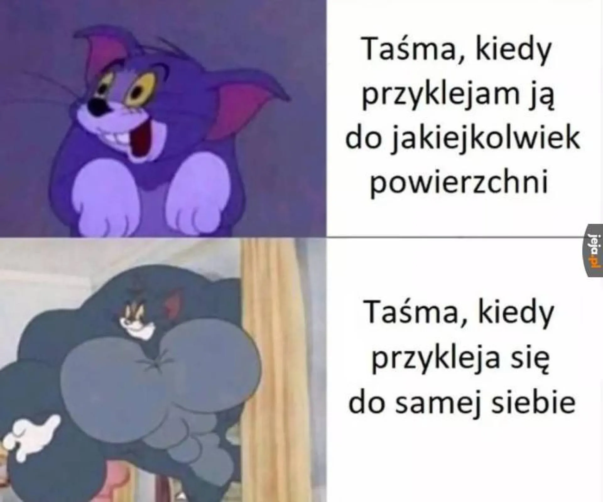 Taśma