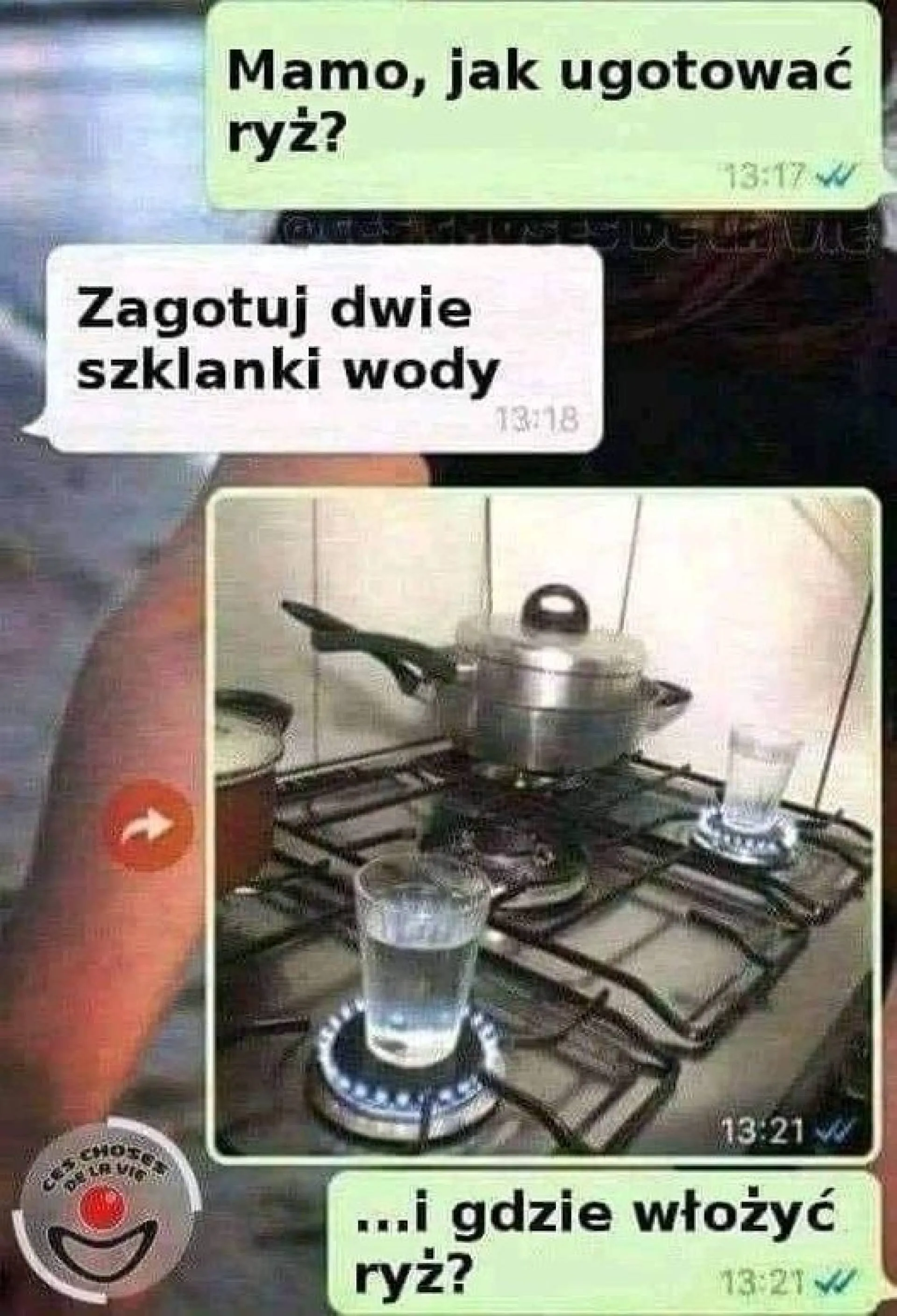 Ryż