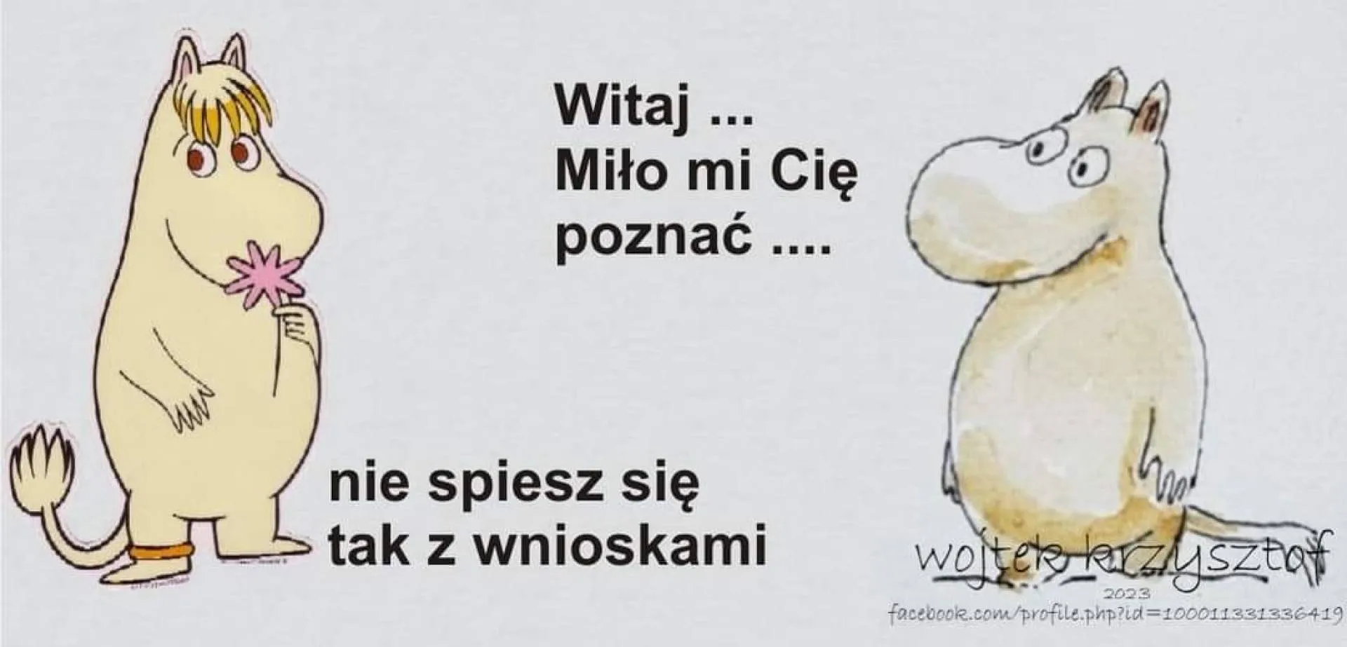 Wnioski