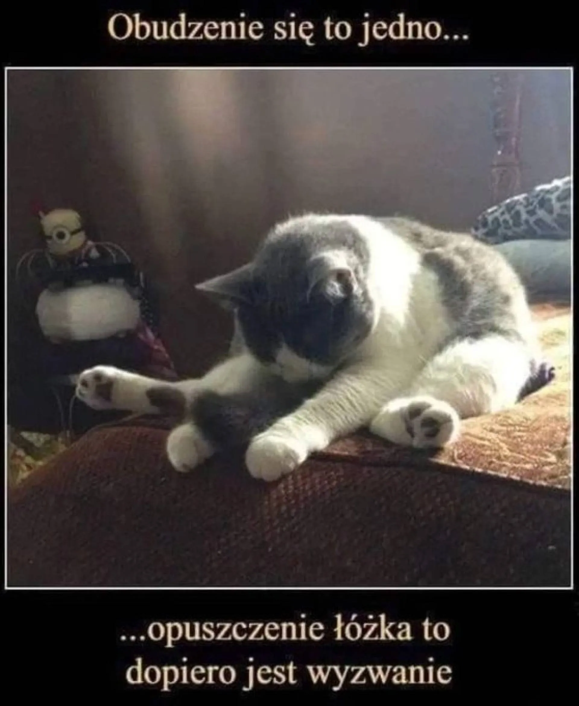 Wyzwanie