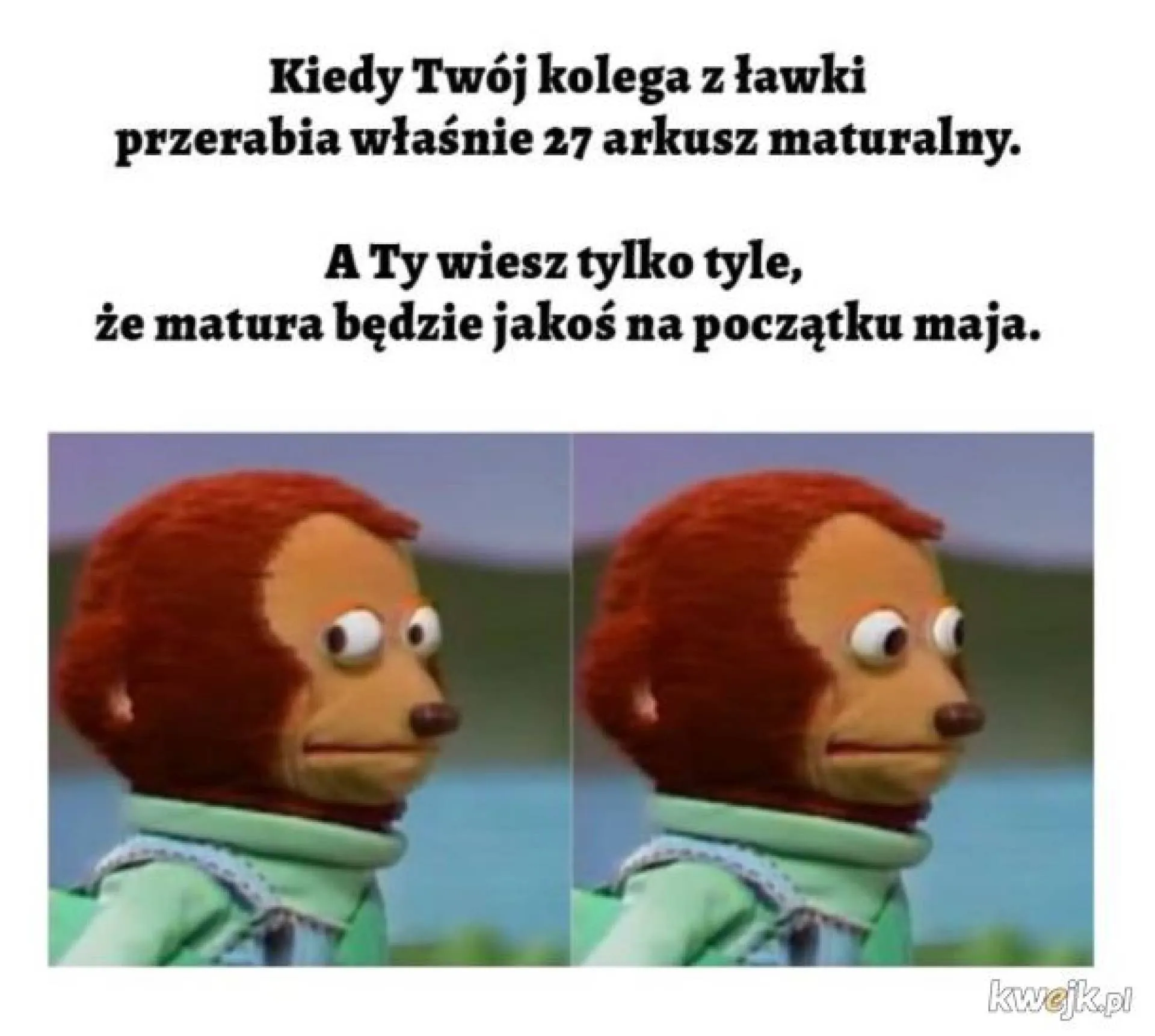 W maju?