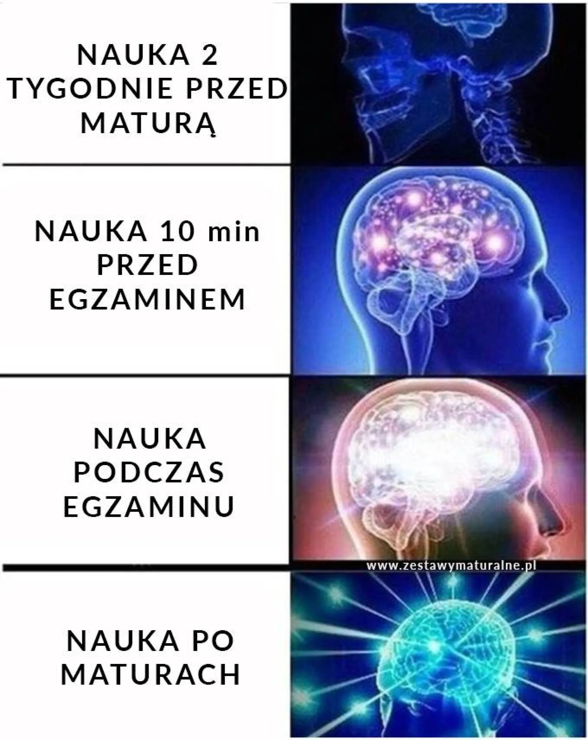 Nauka