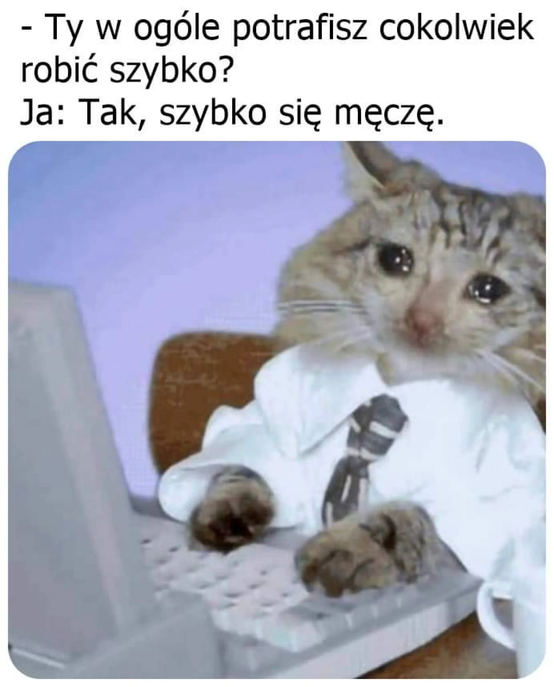 Szybko