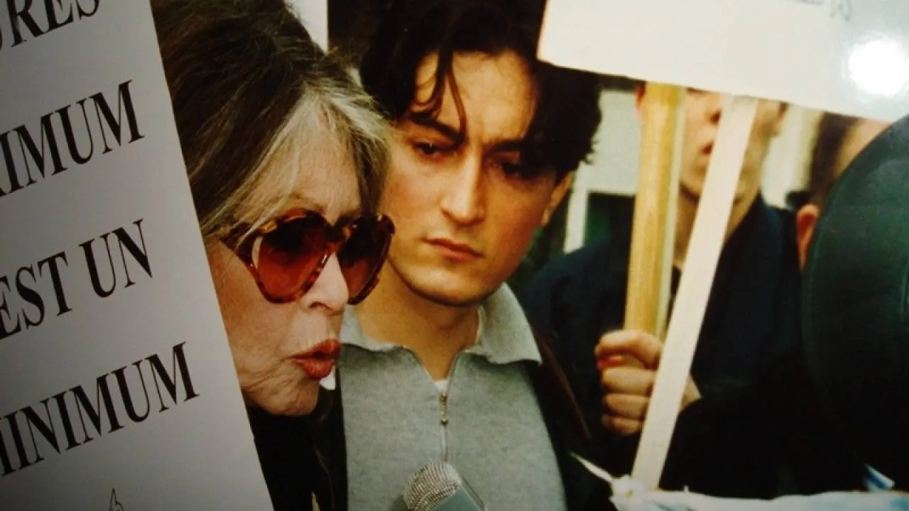 Obawy o znęcanie się nad zwierzętami... Brigitte Bardot: organizowanie igrzysk to szaleństwo