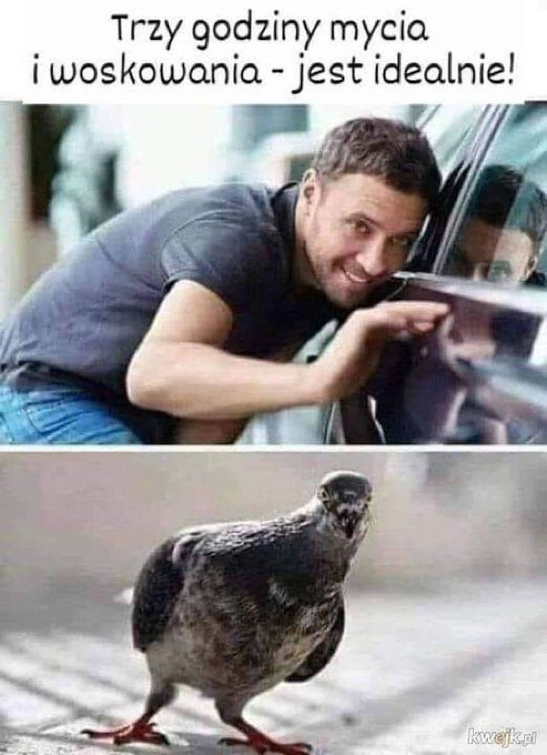 Dzięki