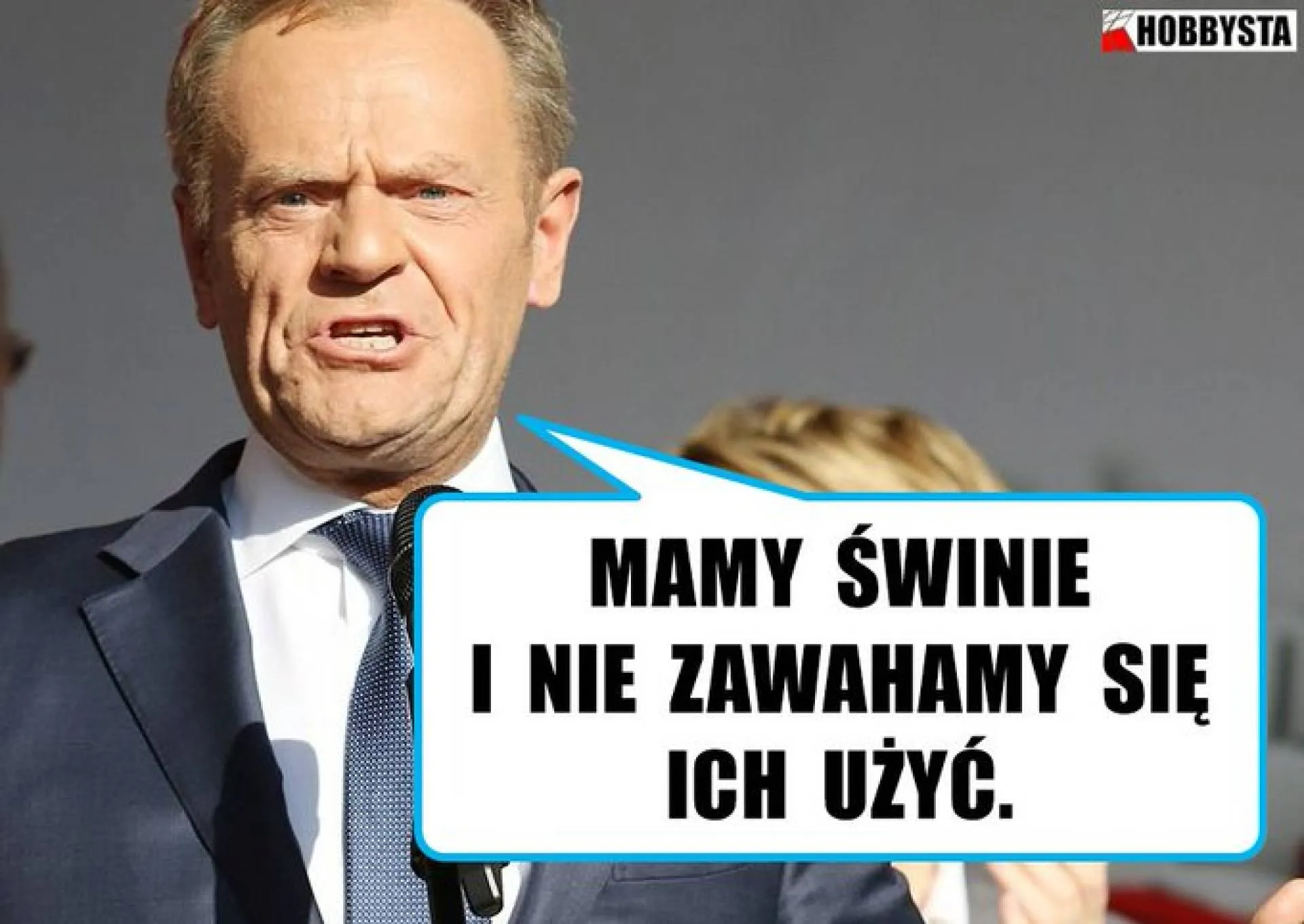 Świnie