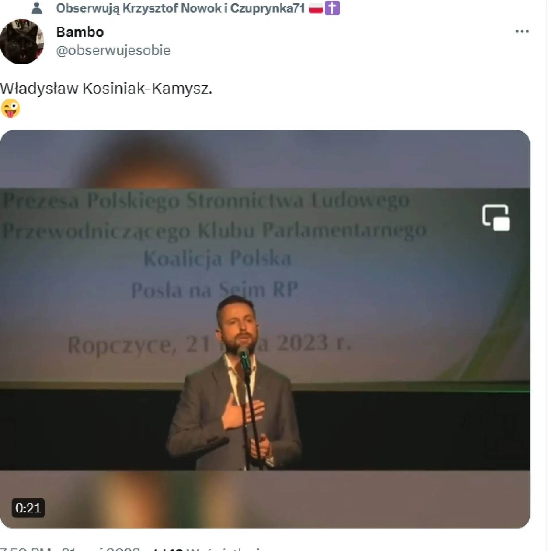 Kury i perliczki