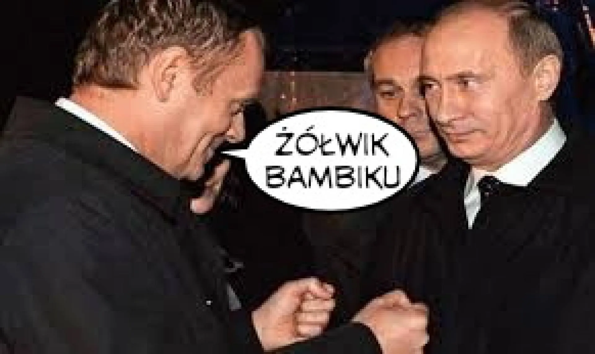 Żółwik